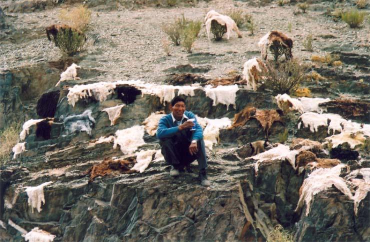 Foto: Argentina