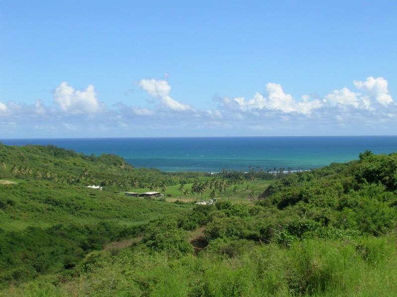 Foto: Barbados-Saint Joseph