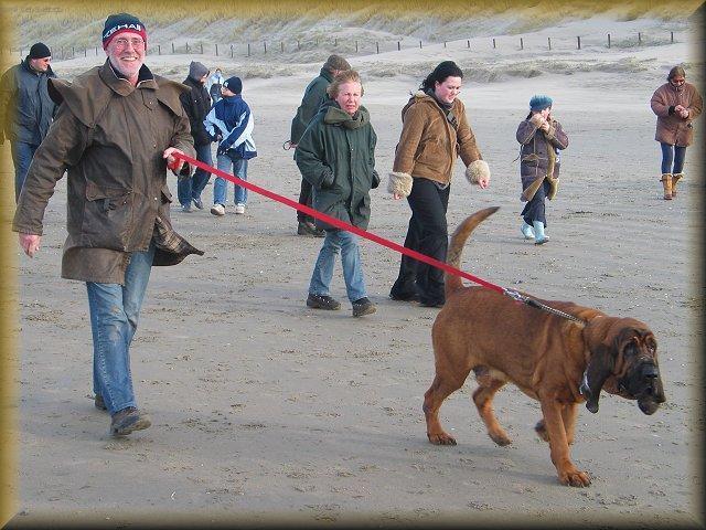 Foto: Bloodhound-Famous Alhavant. Majitelka: Alena