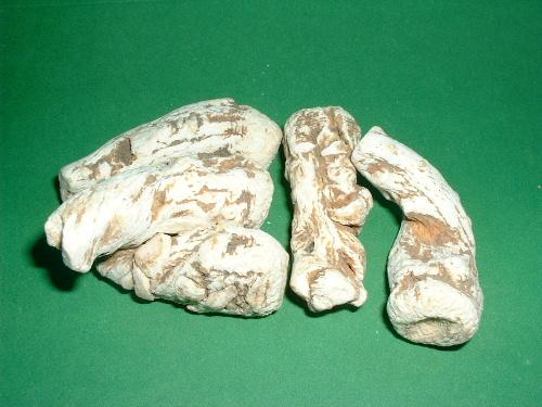 Foto: Dang Gui (Tang Kuej)