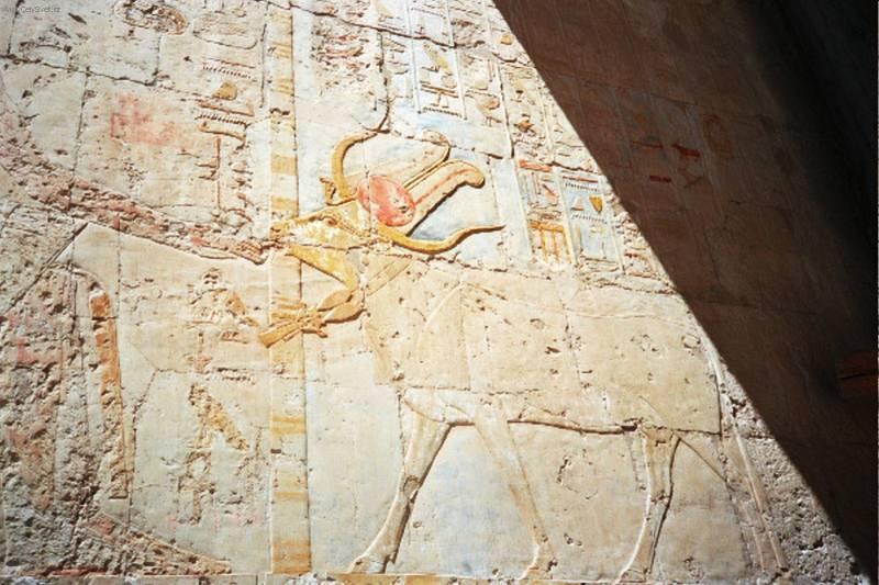 Foto: Egypt-stena (Autor: Iriri)