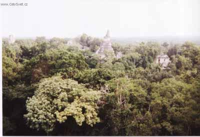 Foto: Guatemala-Tikal - celkov� pohled
