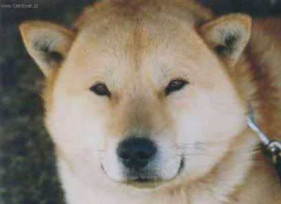 Foto: Hokkaido-Ken