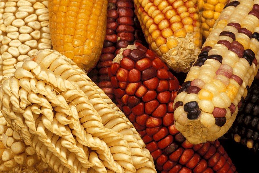 Foto: Kuku�ice Set�