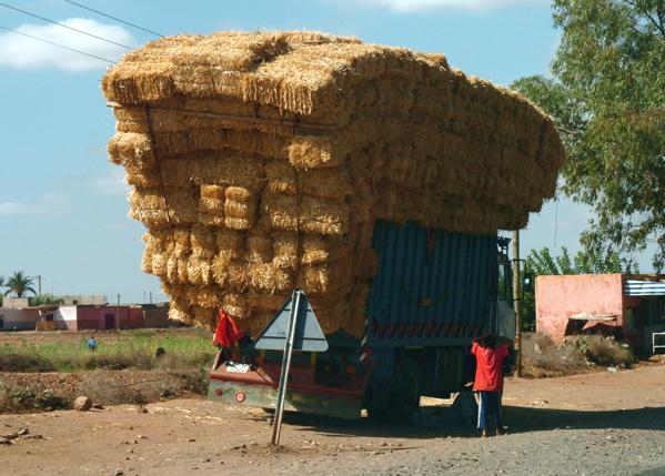 Foto: Maroko-Marrakech