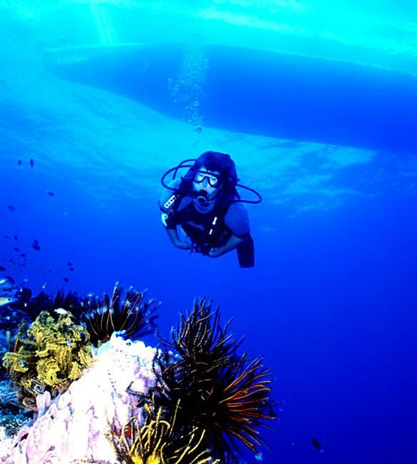 Foto: Mikron�sie-Kosrae