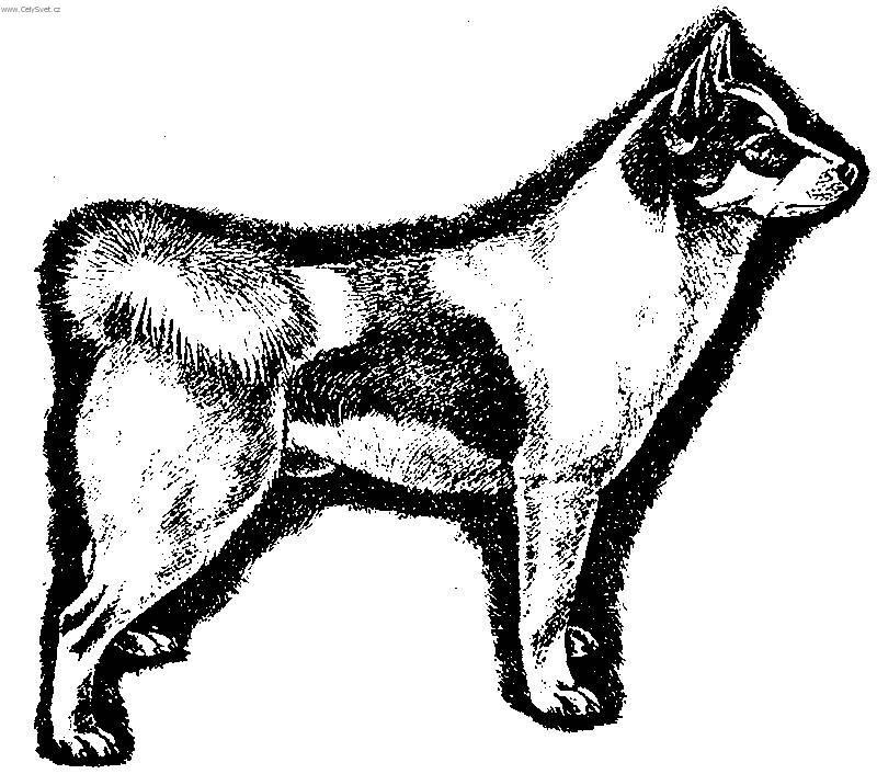 Fotky: Norbotensk� �pic (foto, obrazky)