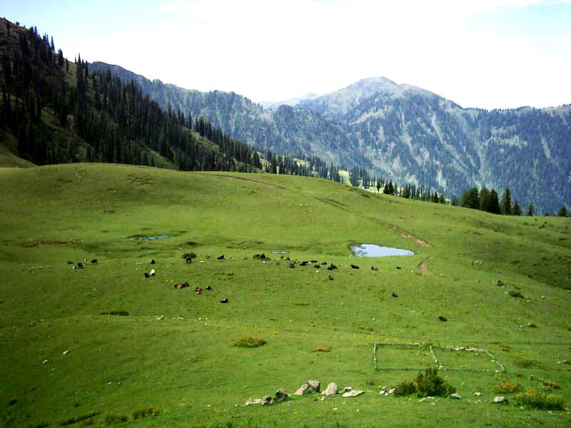 Foto: P�kist�n-Kaghan