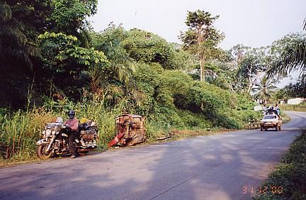 Foto: Rovn�kov� Guinea