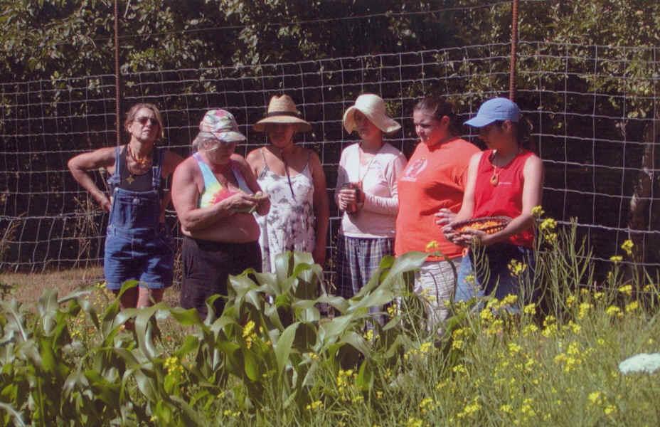 Fotky: Sb�r l��iv�ch rostlin (foto, obrazky)