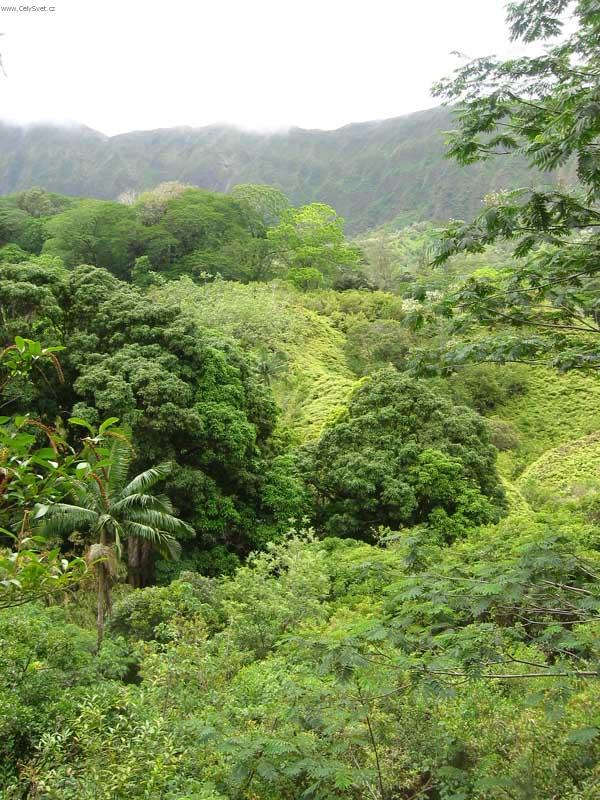 Foto: USA-Hawaii1