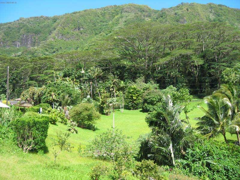 Foto: USA-Hawaii3