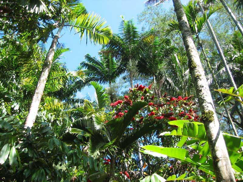 Foto: USA-Hawaii4