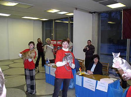 Foto: V�stavy ko�ek