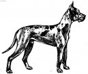 N�meck� doga