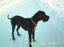 N�meck� doga