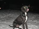 N�meck� doga