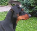 N�meck� pin�