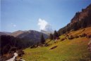 �v�carsko