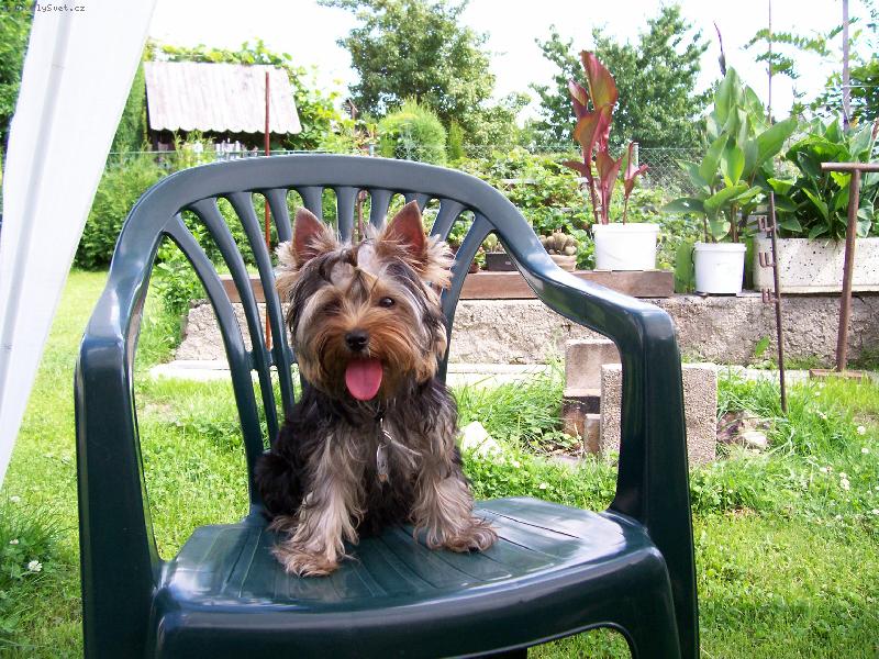 Foto: Bessy