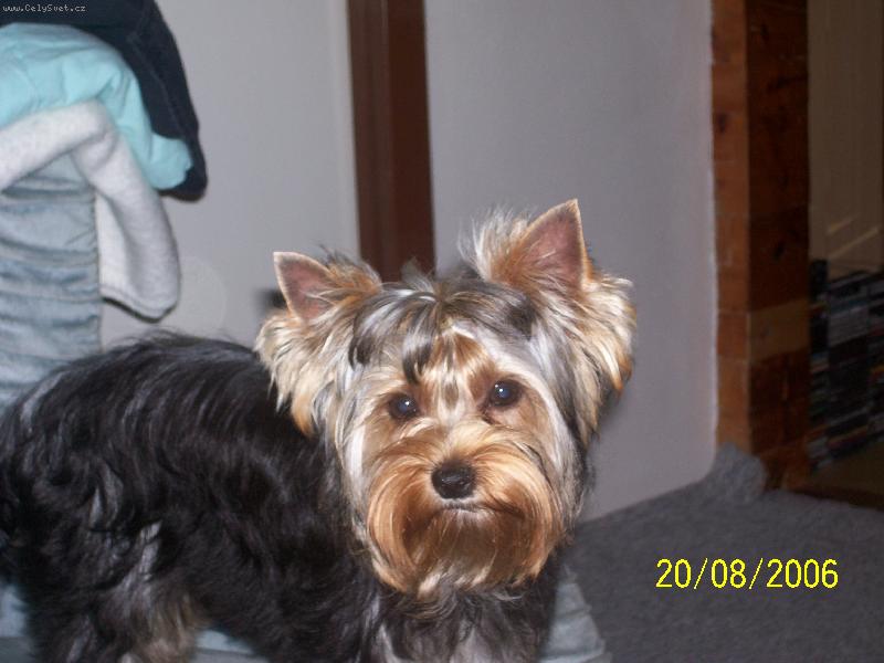 Foto: Bessy