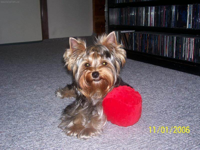 Foto: Bessy