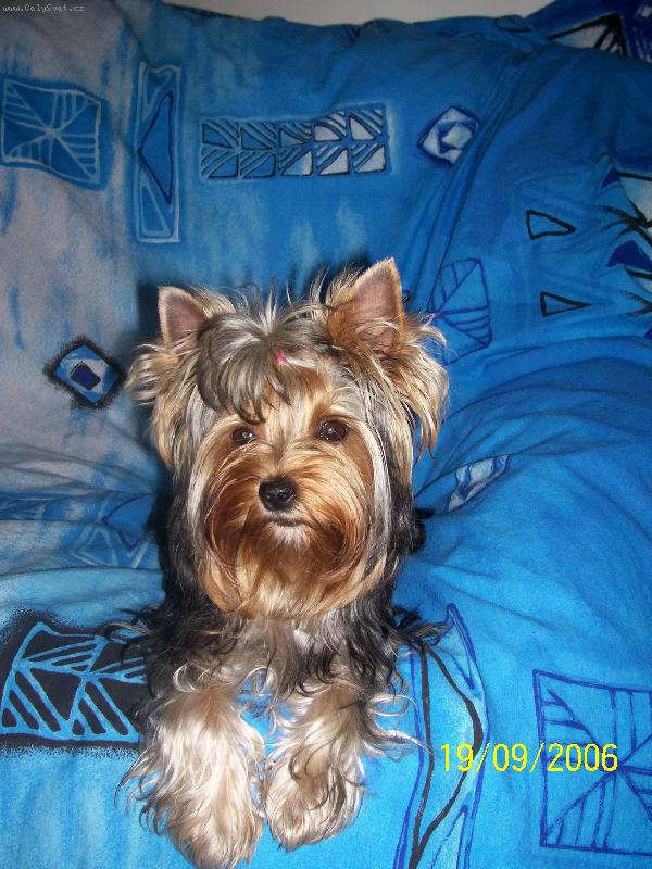 Foto: Bessy