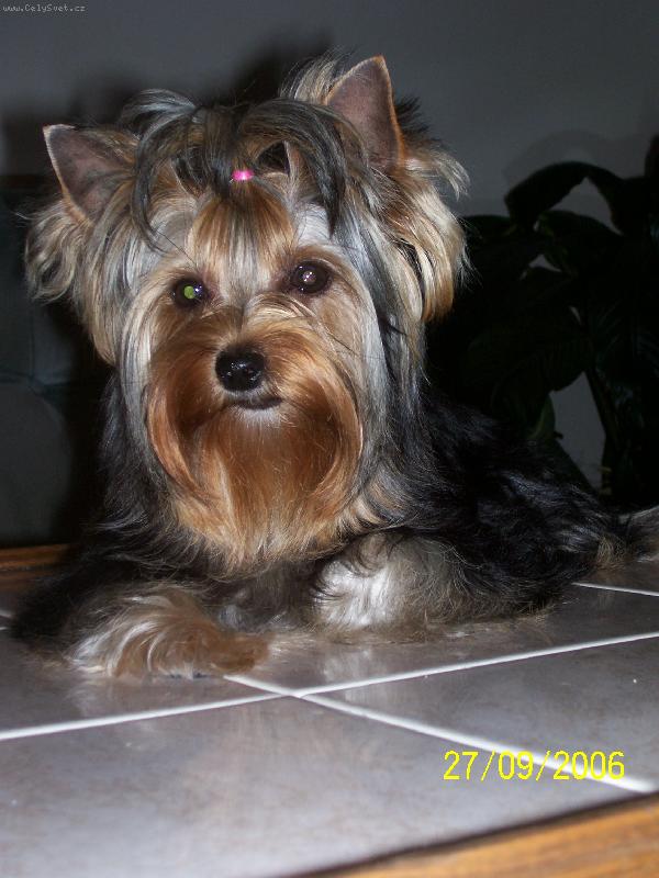 Foto: Bessy