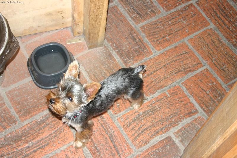 Foto: Ka�enka