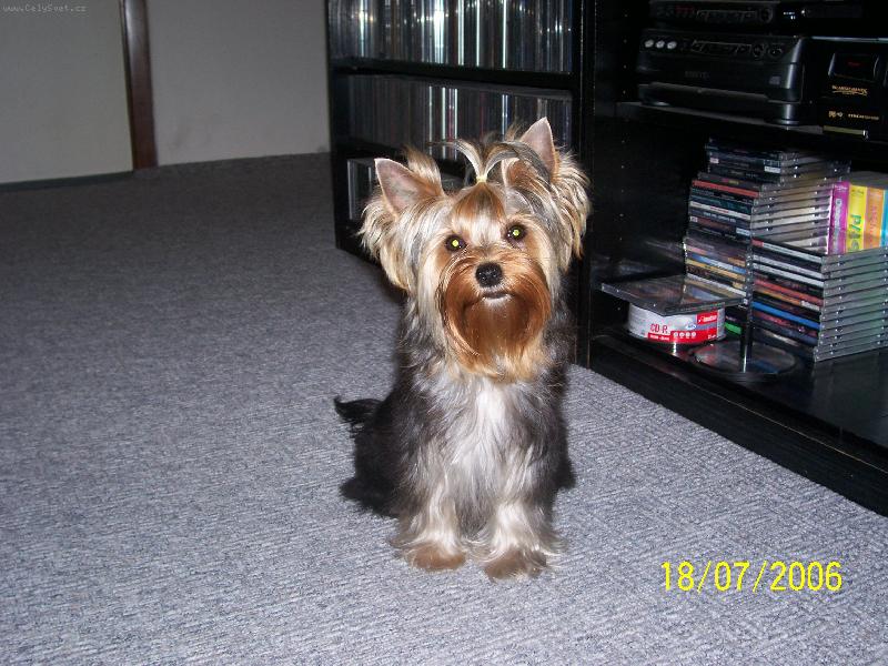 Foto: Bessy