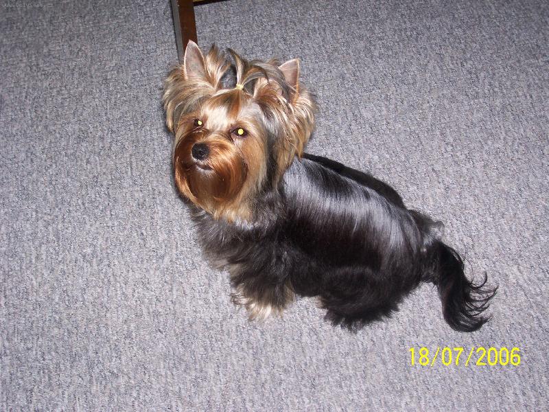 Foto: Bessy