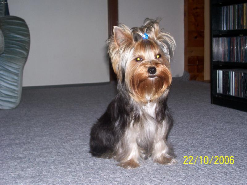 Foto: Bessy