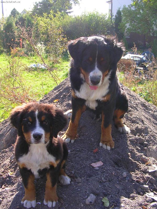 Foto: Max a Sam