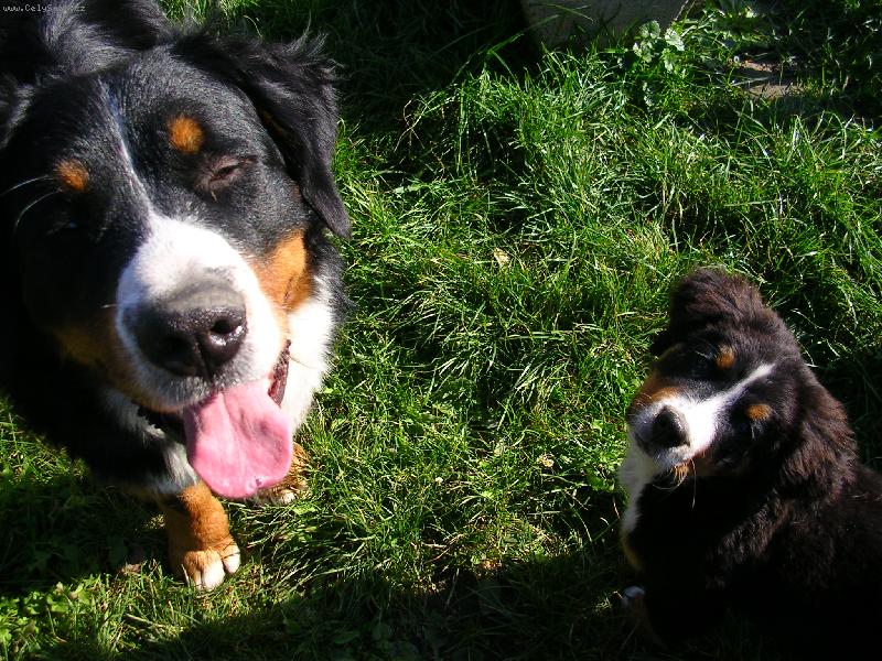 Foto: Max a Sam