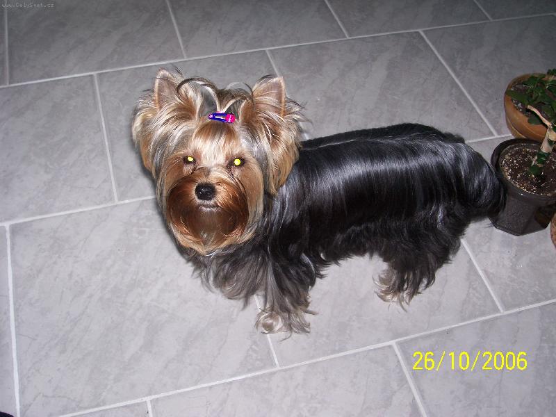 Foto: Bessy