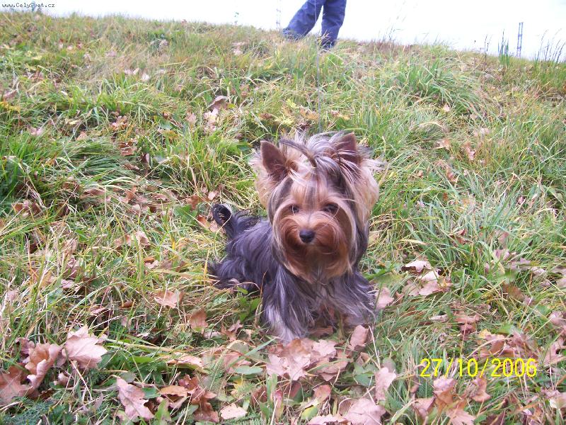 Foto: Bessy