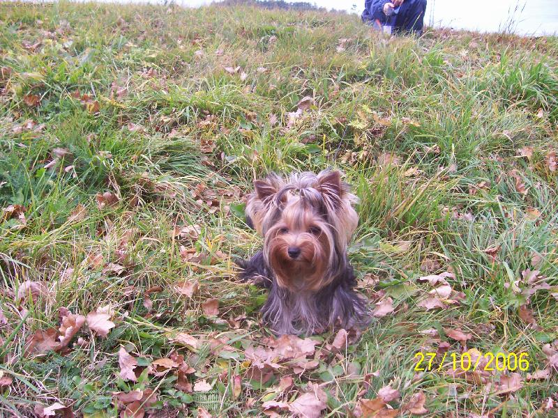 Foto: Bessy