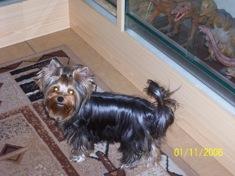 Foto: Bessy