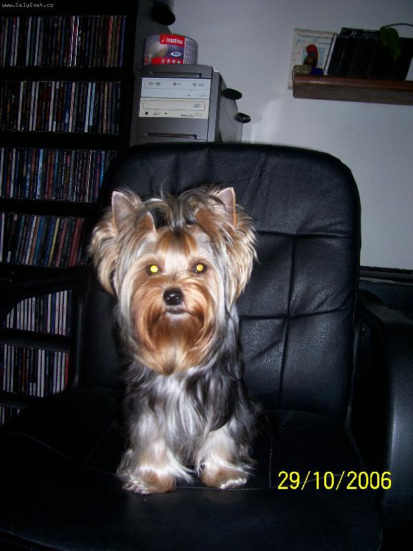Foto: Bessy