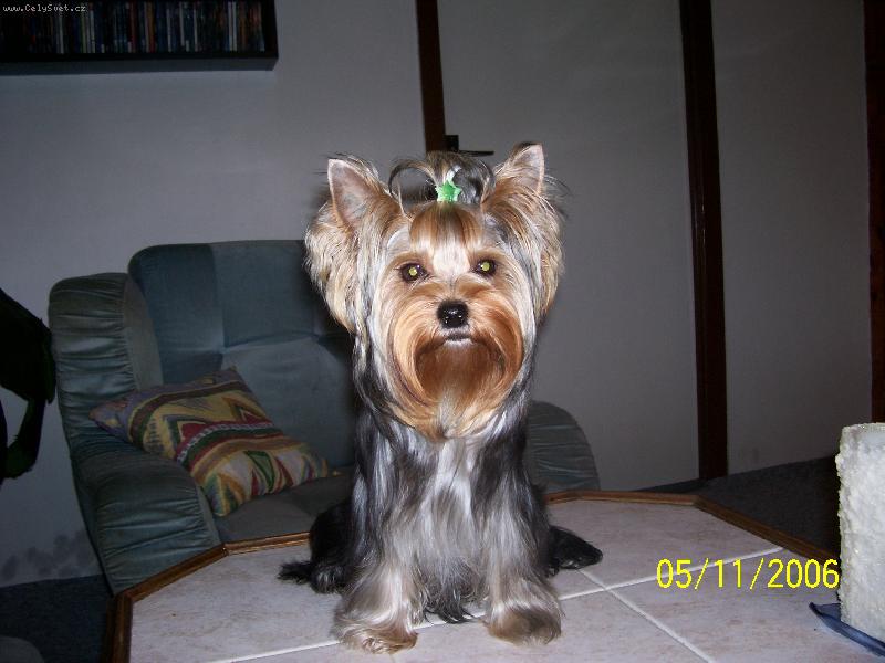 Foto: Bessy
