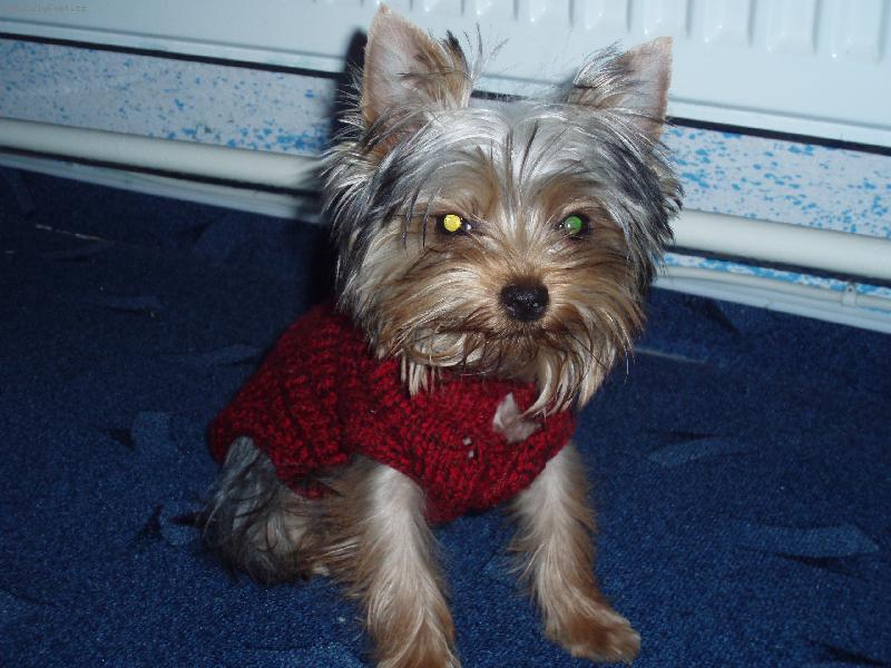 Foto: CoCo