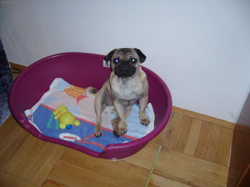 Foto: Arnie