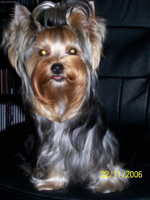 Foto: Bessy