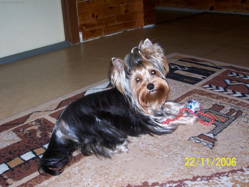 Foto: Bessy