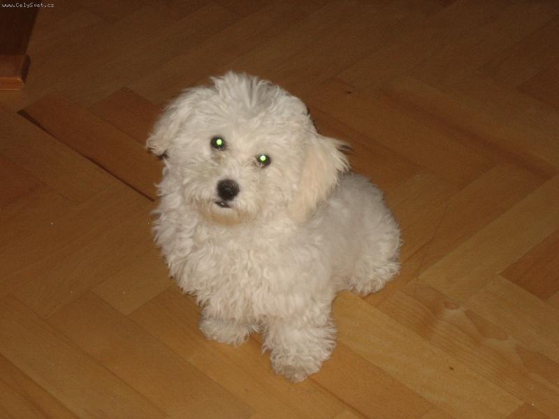 Foto: na�e Keysi