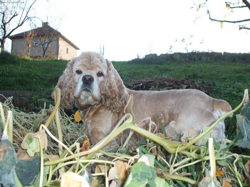 Foto: Aszia