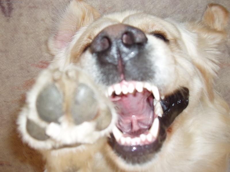 Foto: relaxuju!