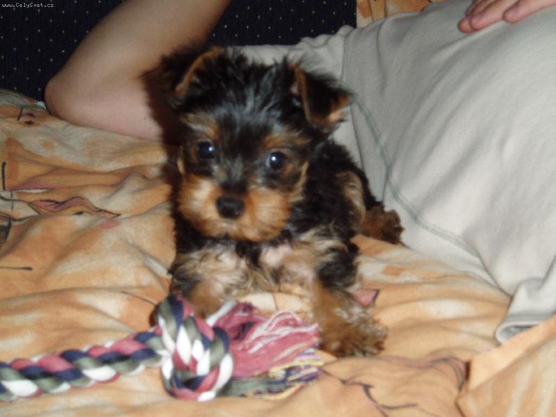 Foto: Maiki
