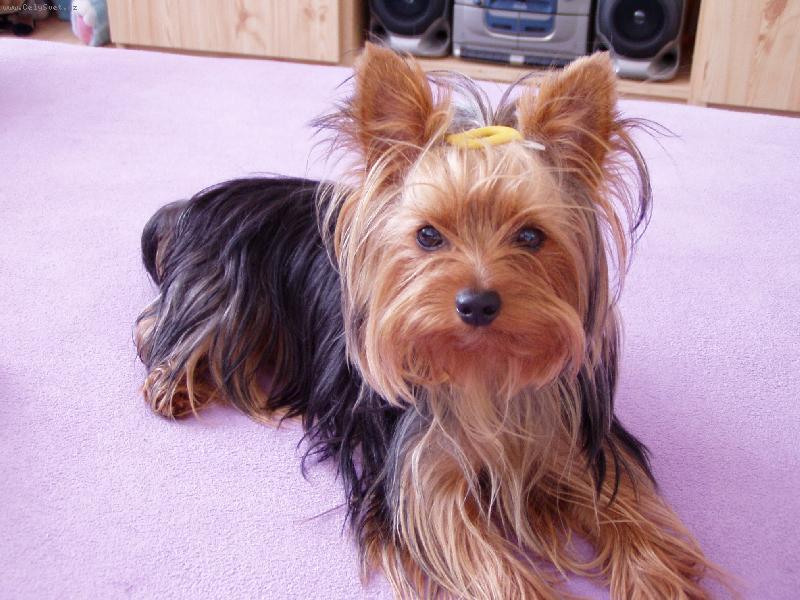 Foto: Maiki2