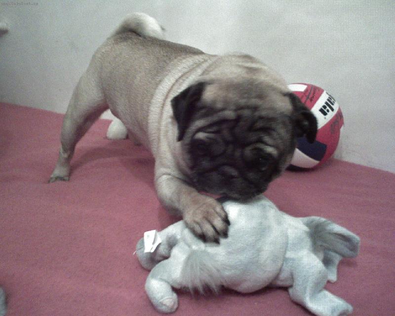 Foto: mil��ek